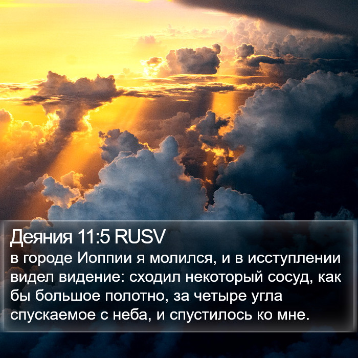 Деяния 11:5 RUSV Bible Study