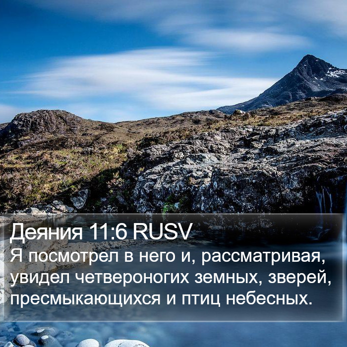 Деяния 11:6 RUSV Bible Study