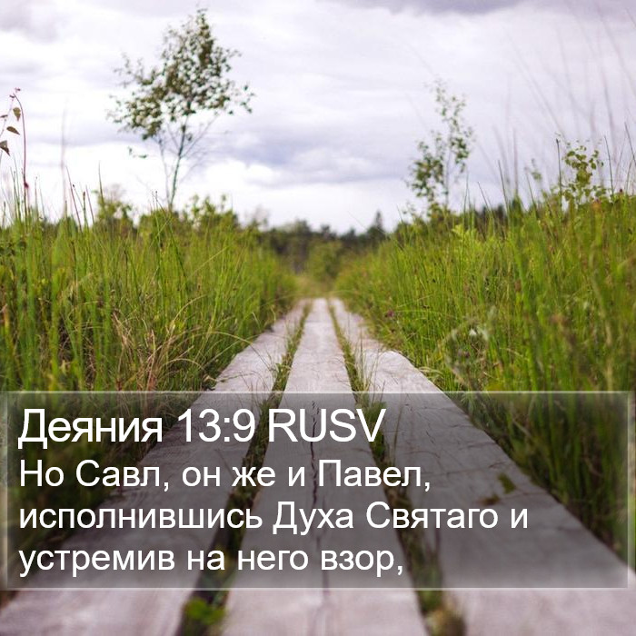 Деяния 13:9 RUSV Bible Study