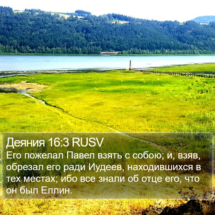 Деяния 16:3 RUSV Bible Study