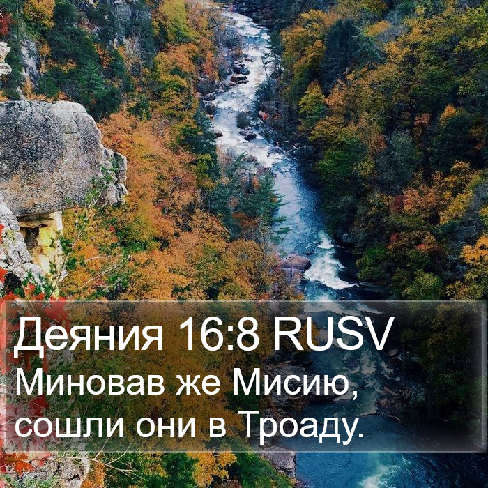 Деяния 16:8 RUSV Bible Study