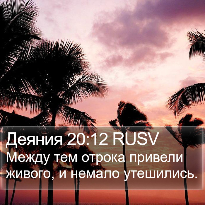 Деяния 20:12 RUSV Bible Study