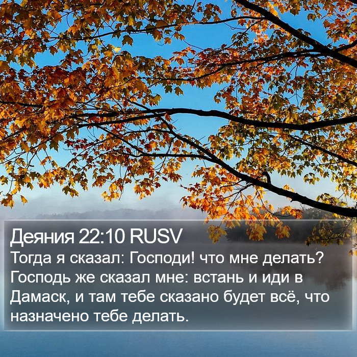 Деяния 22:10 RUSV Bible Study