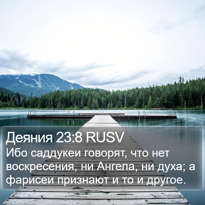 Деяния 23:8 RUSV Bible Study