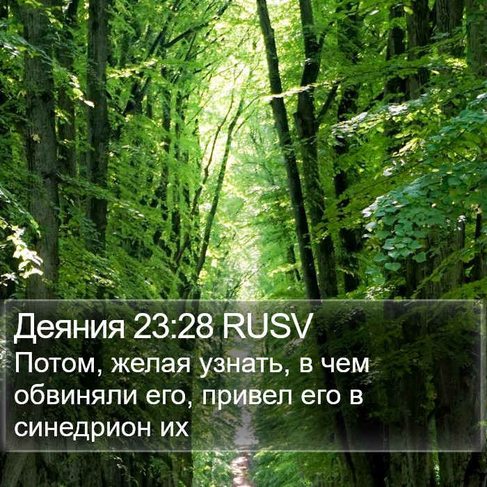 Деяния 23:28 RUSV Bible Study