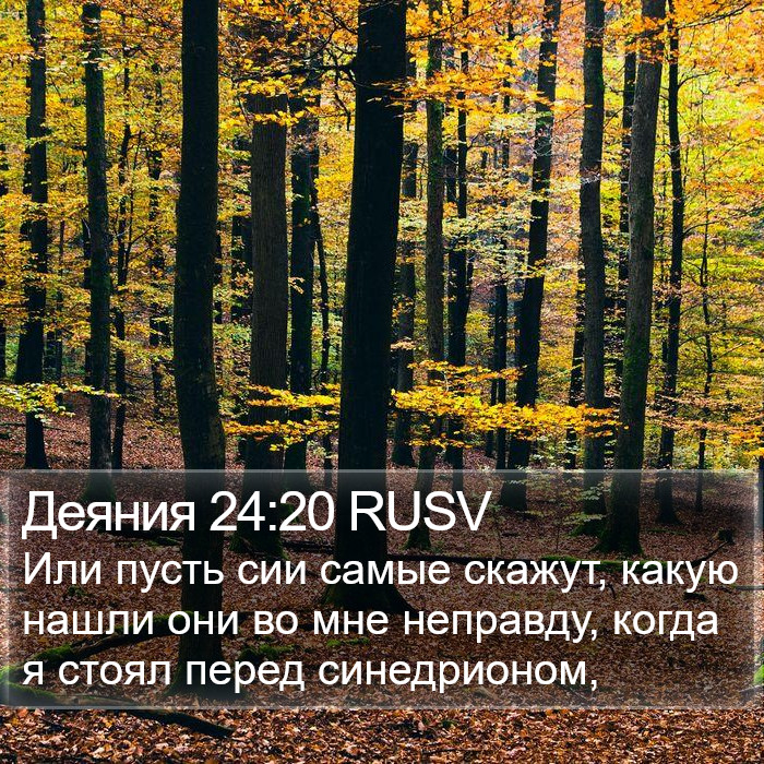 Деяния 24:20 RUSV Bible Study