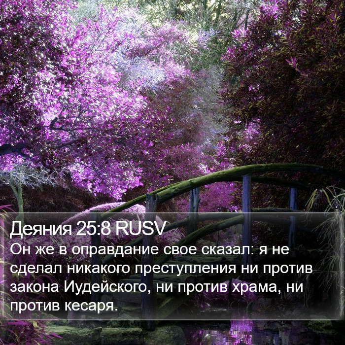 Деяния 25:8 RUSV Bible Study