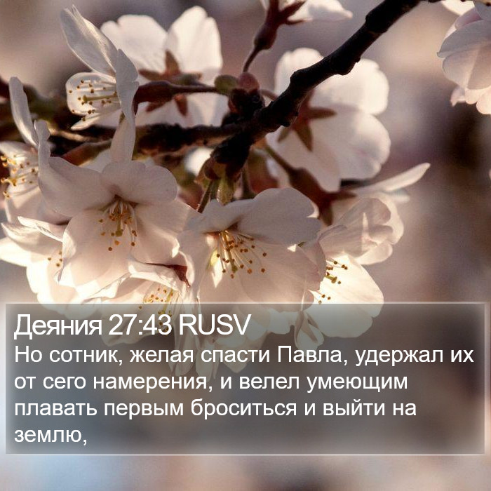 Деяния 27:43 RUSV Bible Study