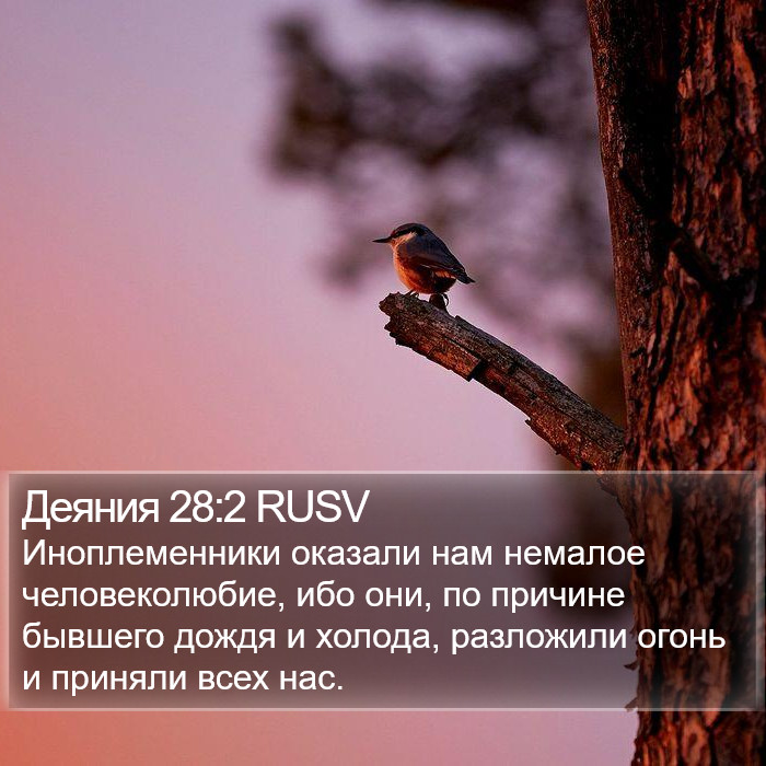 Деяния 28:2 RUSV Bible Study