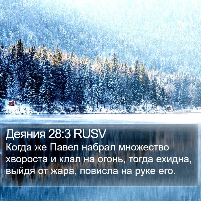 Деяния 28:3 RUSV Bible Study