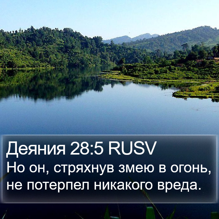 Деяния 28:5 RUSV Bible Study