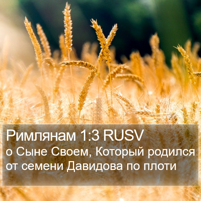 Римлянам 1:3 RUSV Bible Study