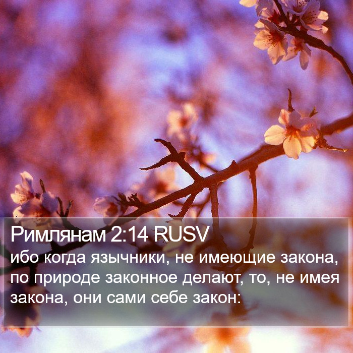 Римлянам 2:14 RUSV Bible Study