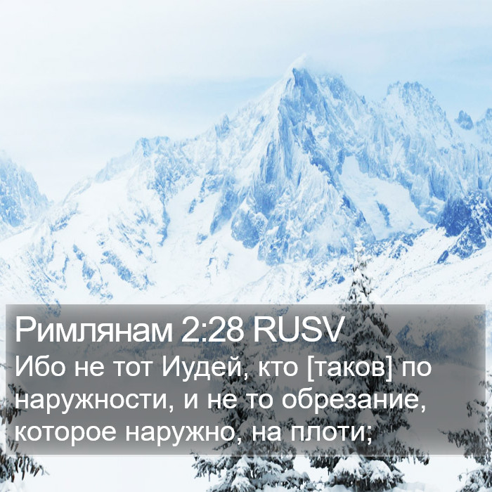 Римлянам 2:28 RUSV Bible Study