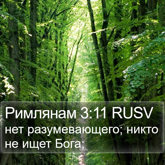 Римлянам 3:11 RUSV Bible Study