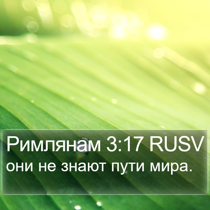 Римлянам 3:17 RUSV Bible Study
