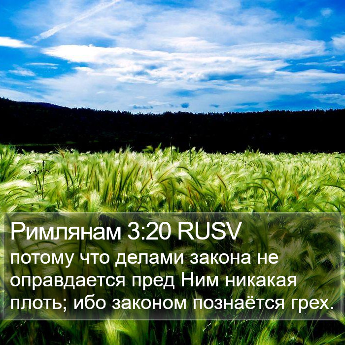 Римлянам 3:20 RUSV Bible Study