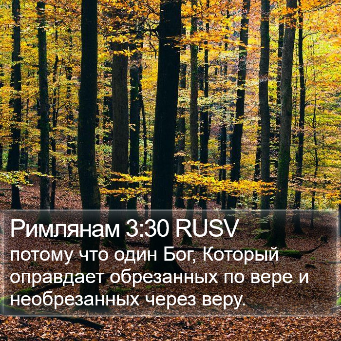 Римлянам 3:30 RUSV Bible Study