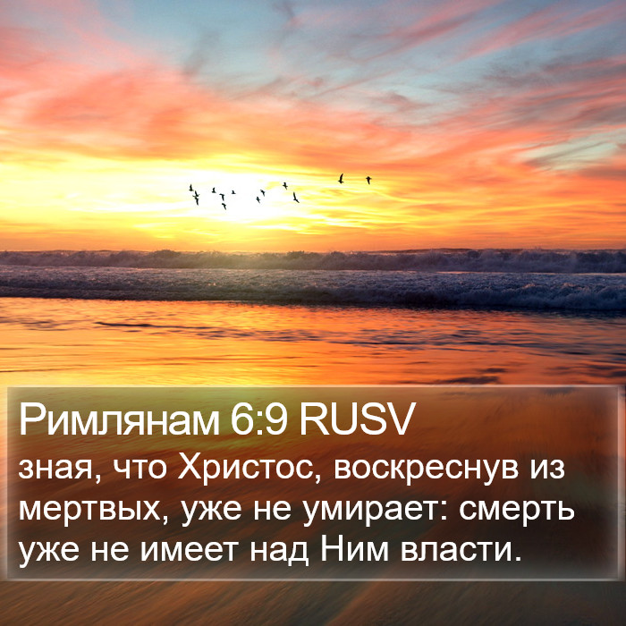 Римлянам 6:9 RUSV Bible Study