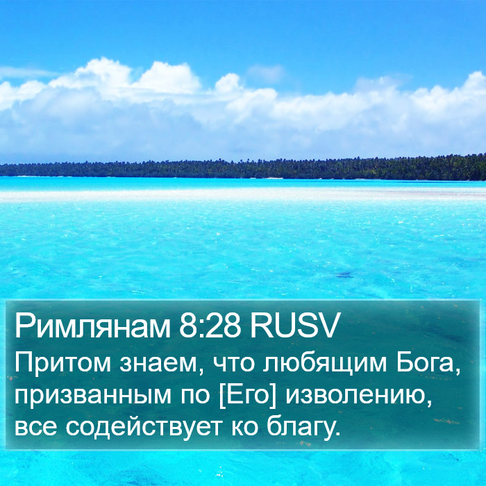 Римлянам 8:28 RUSV Bible Study