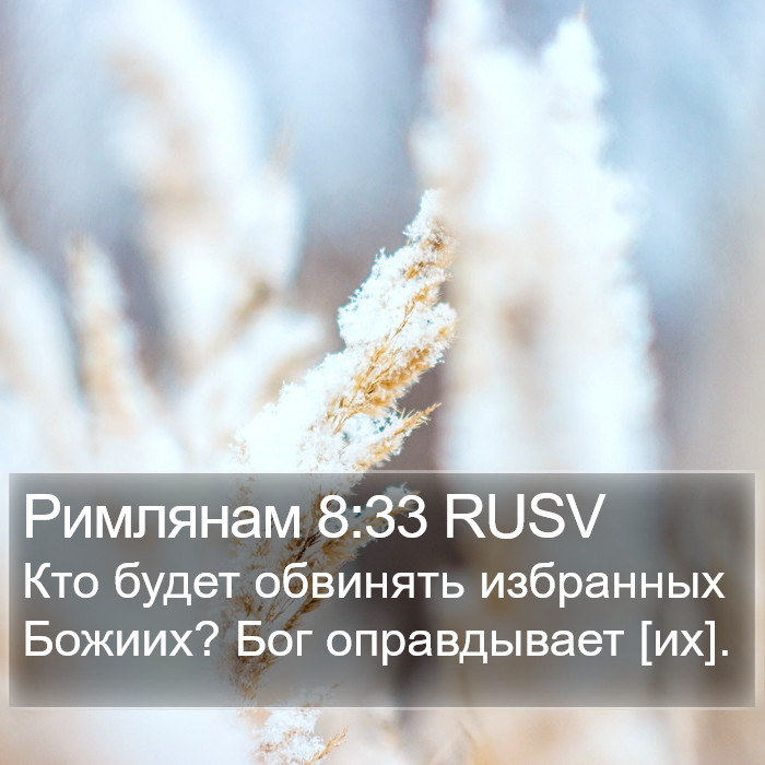 Римлянам 8:33 RUSV Bible Study