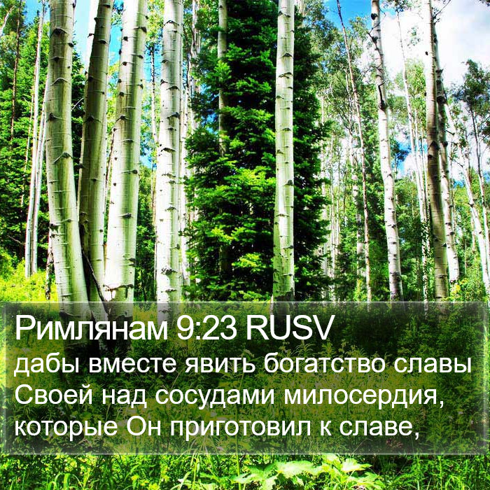 Римлянам 9:23 RUSV Bible Study