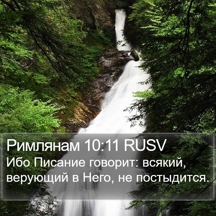 Римлянам 10:11 RUSV Bible Study