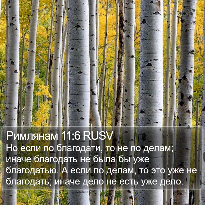 Римлянам 11:6 RUSV Bible Study