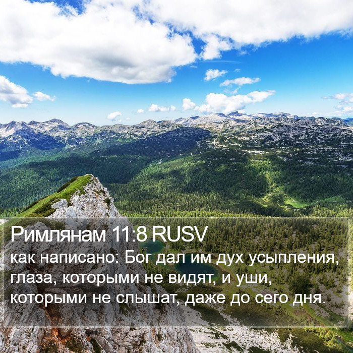 Римлянам 11:8 RUSV Bible Study