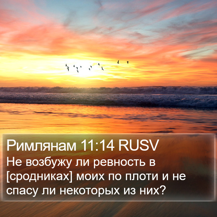 Римлянам 11:14 RUSV Bible Study