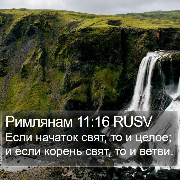 Римлянам 11:16 RUSV Bible Study