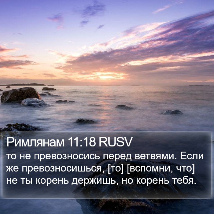 Римлянам 11:18 RUSV Bible Study