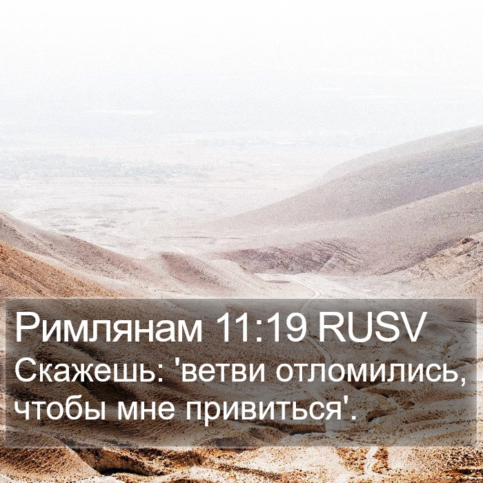 Римлянам 11:19 RUSV Bible Study