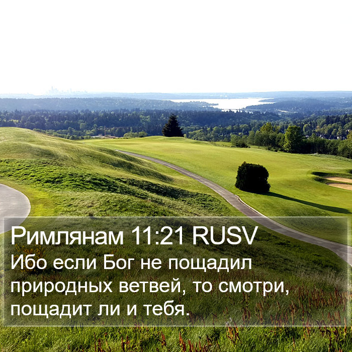 Римлянам 11:21 RUSV Bible Study
