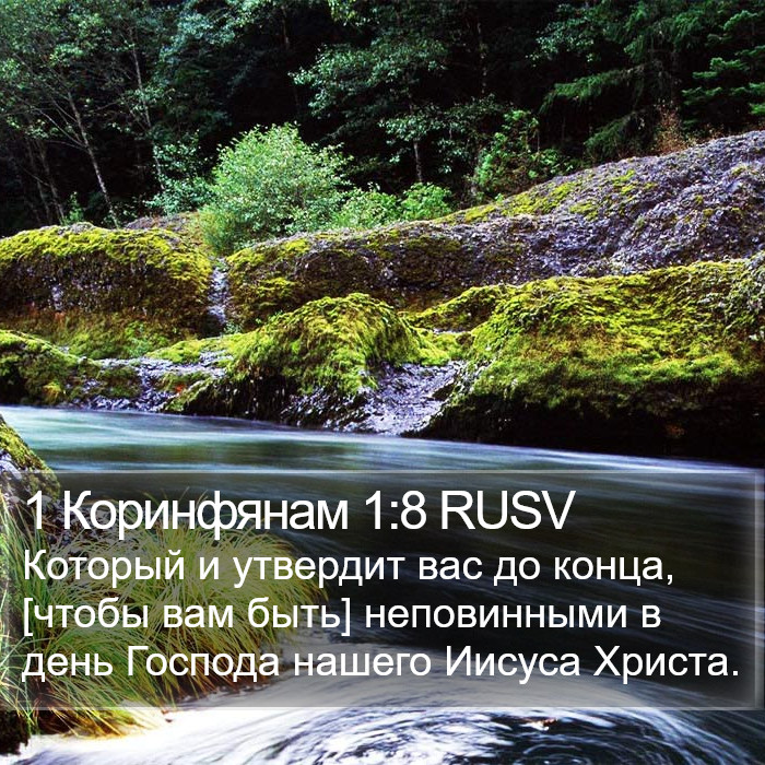 1 Коринфянам 1:8 RUSV Bible Study