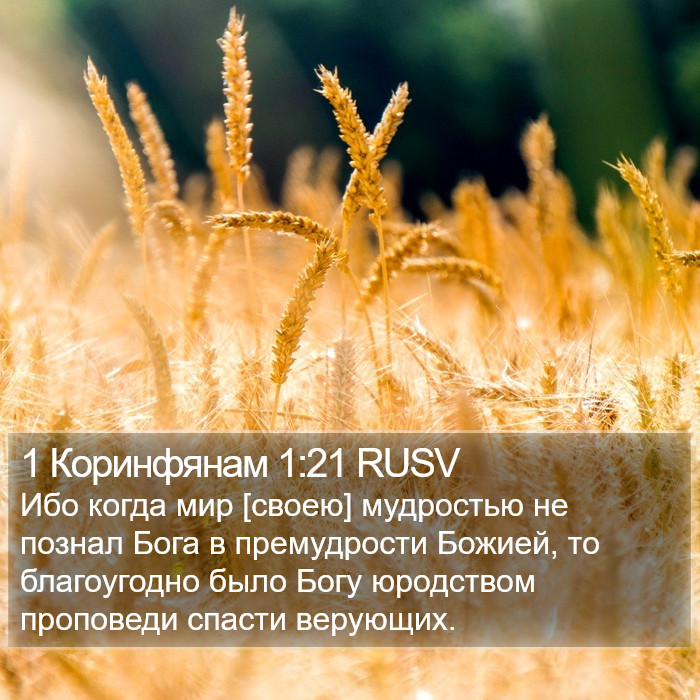 1 Коринфянам 1:21 RUSV Bible Study