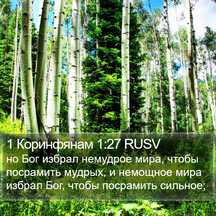 1 Коринфянам 1:27 RUSV Bible Study