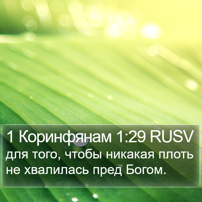 1 Коринфянам 1:29 RUSV Bible Study