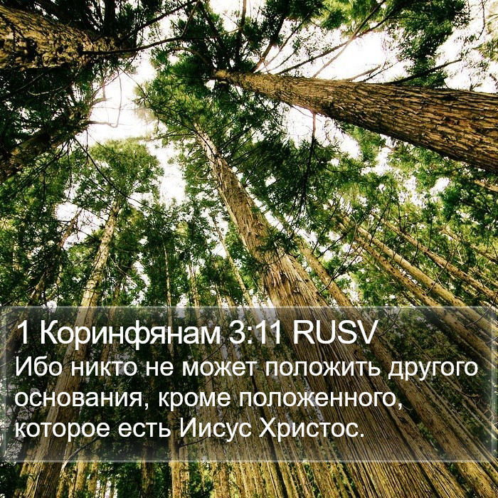 1 Коринфянам 3:11 RUSV Bible Study