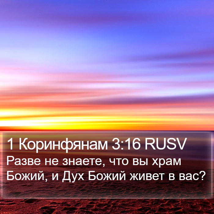 1 Коринфянам 3:16 RUSV Bible Study