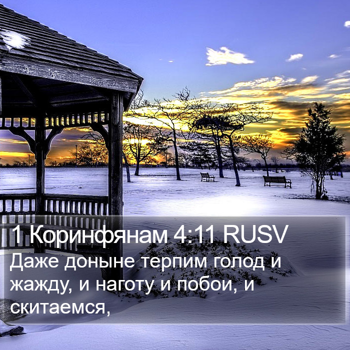 1 Коринфянам 4:11 RUSV Bible Study