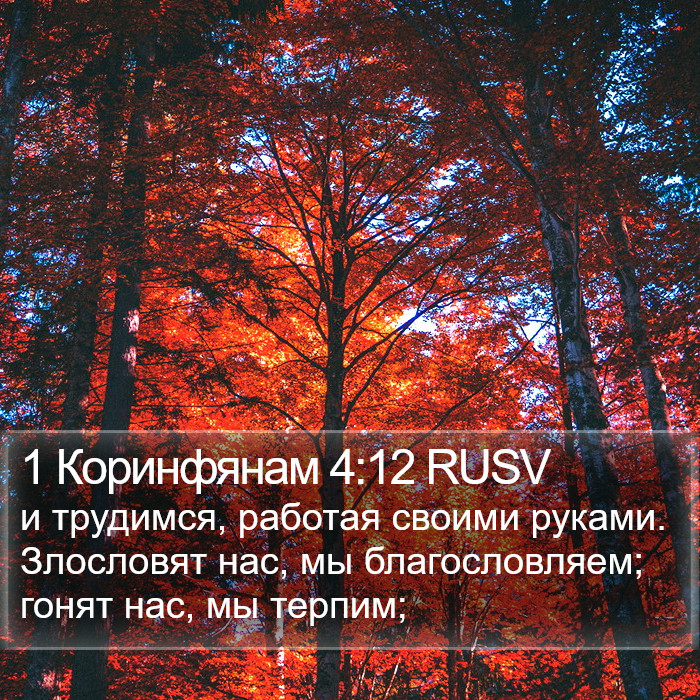 1 Коринфянам 4:12 RUSV Bible Study