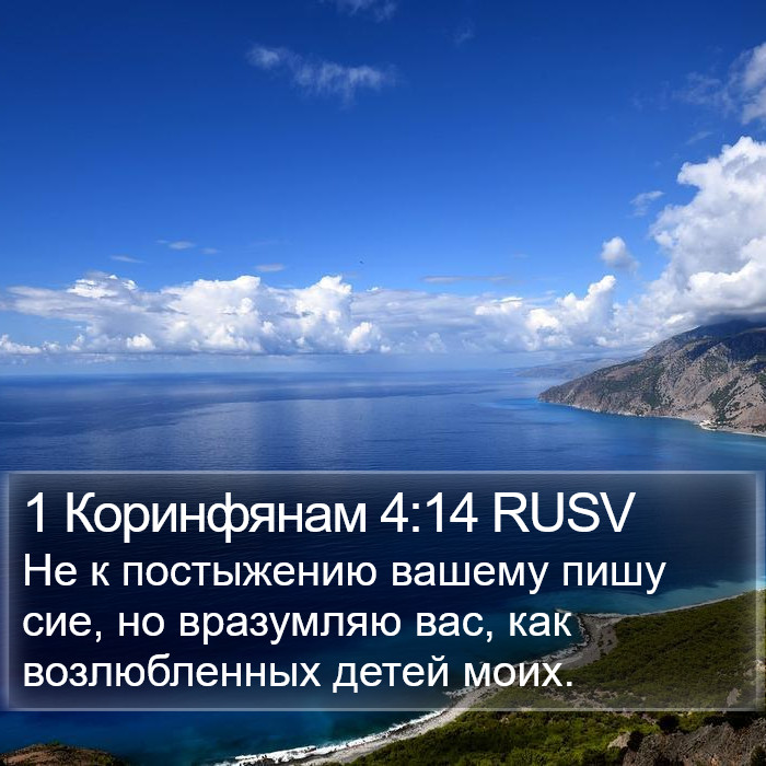 1 Коринфянам 4:14 RUSV Bible Study