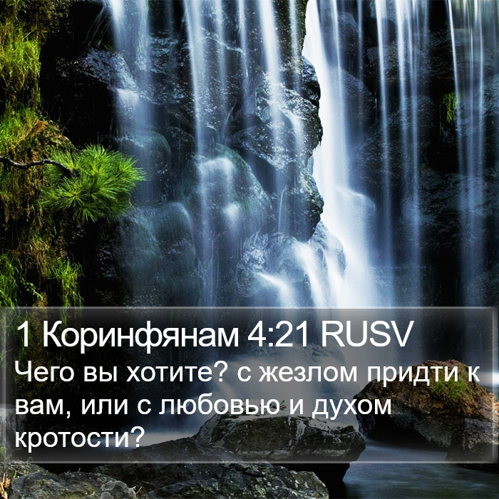 1 Коринфянам 4:21 RUSV Bible Study