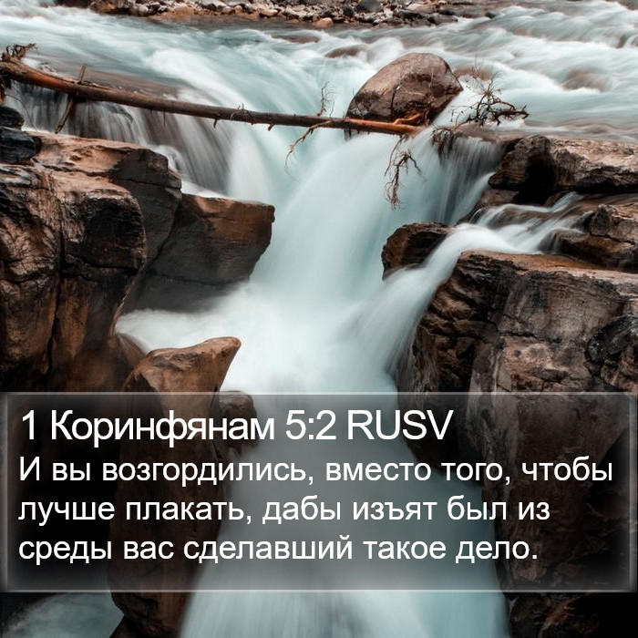 1 Коринфянам 5:2 RUSV Bible Study