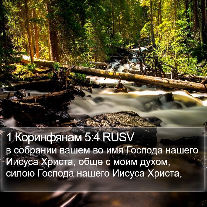 1 Коринфянам 5:4 RUSV Bible Study