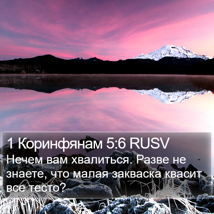 1 Коринфянам 5:6 RUSV Bible Study