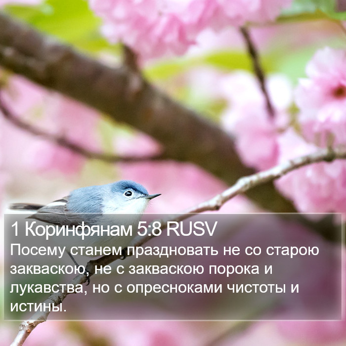 1 Коринфянам 5:8 RUSV Bible Study