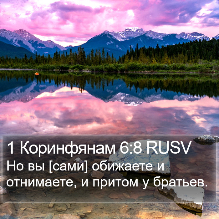 1 Коринфянам 6:8 RUSV Bible Study