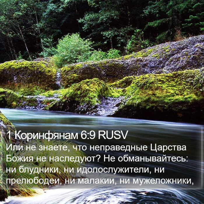 1 Коринфянам 6:9 RUSV Bible Study